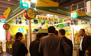 七彩納米噴鍍公司圖片